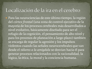  Para las neurociencias de este último tiempo, la región
del córtex frontal (una zona de control ejecutivo de la
mayoría de los procesos cerebrales más desarrollados a
nivel evolutivo, básicamente diseñado para ser el
refugio de la cognición, el pensamiento de alto nivel y
para los procesos de planeación a largo plazo) también
se encarga de regular la agresión y los impulsos
violentos cuando las señales neurocerebrales que van
desde el tálamo a la amígdala se desvían hacia él para
generar procesos relacionados con la racionalidad, la
lógica, la ética, la moral y la conciencia humana.
 