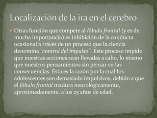  Otras función que compete al lóbulo frontal (y es de
mucha importancia) es inhibición de la conducta
ocasional a través de un proceso que la ciencia
denomina "control del impulso". Este proceso impide
que nuestras acciones sean llevadas a cabo, lo mismo
que nuestros pensamientos sin pensar en las
consecuencias. Esta es la razón por la cual los
adolescentes son demasiado impulsivos, debido a que
el lóbulo frontal madura neurológicamente,
aproximadamente, a los 25 años de edad.
 