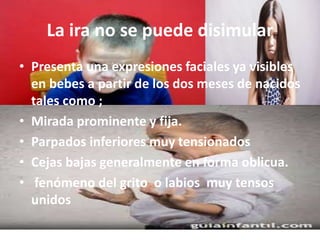 La ira no se puede disimular
• Presenta una expresiones faciales ya visibles
en bebes a partir de los dos meses de nacidos
tales como ;
• Mirada prominente y fija.
• Parpados inferiores muy tensionados
• Cejas bajas generalmente en forma oblicua.
• fenómeno del grito o labios muy tensos
unidos
 