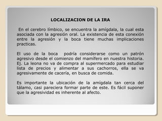 LOCALIZACION DE LA IRA
En el cerebro límbico, se encuentra la amígdala, la cual esta
asociada con la agresión oral. La existencia de esta conexión
entre la agresión y la boca tiene muchas implicaciones
practicas.
El uso de la boca podría considerarse como un patrón
agresivo desde el comienzo del mamífero en nuestra historia.
Ej. La leona no va de compra al supermercado para estudiar
lista de precios y alimentar a sus cachorros, ella se va
agresivamente de cacería, en busca de comida.
Es importante la ubicación de la amígdala tan cerca del
tálamo, casi pareciera formar parte de este. Es fácil suponer
que la agresividad es inherente al afecto.
 