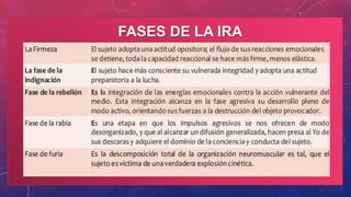 FASES DE LA IRA
 