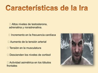 Actividad asimétrica en los lóbulos
frontales
Incremento en la frecuencia cardíaca
Aumento de la tensión arterial
Altos niveles de testosterona,
adrenalina y noradrenalina.
Tensión en la musculatura
Descienden los niveles de cortisol
 
