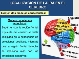 Modelo de valencia
emocional
Según el cual la región frontal
izquierda del cerebro se halla
implicada en la experiencia de
emociones positivas, mientras
que la región frontal derecha
se relaciona más con las
emociones negativas.
LOCALIZACIÓN DE LA IRA EN EL
CEREBRO
Existen dos modelos conceptuales:
 