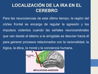 LOCALIZACIÓN DE LA IRA EN EL
CEREBRO
Para las neurociencias de este último tiempo, la región del
córtex frontal se encarga de regular la agresión y los
impulsos violentos cuando las señales neurocerebrales
que van desde el tálamo a la amígdala se desvían hacia él
para generar procesos relacionados con la racionalidad, la
lógica, la ética, la moral y la conciencia humana.
 