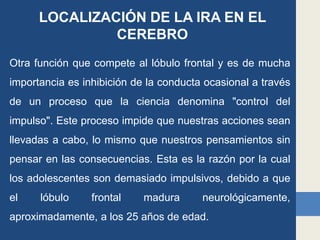 LOCALIZACIÓN DE LA IRA EN EL
CEREBRO
Otra función que compete al lóbulo frontal y es de mucha
importancia es inhibición de la conducta ocasional a través
de un proceso que la ciencia denomina "control del
impulso". Este proceso impide que nuestras acciones sean
llevadas a cabo, lo mismo que nuestros pensamientos sin
pensar en las consecuencias. Esta es la razón por la cual
los adolescentes son demasiado impulsivos, debido a que
el lóbulo frontal madura neurológicamente,
aproximadamente, a los 25 años de edad.
 