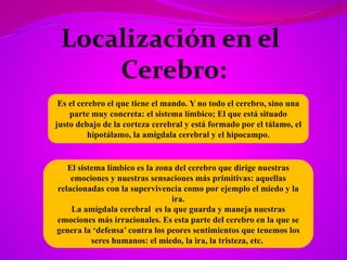 Es el cerebro el que tiene el mando. Y no todo el cerebro, sino una
parte muy concreta: el sistema límbico; El que está situado
justo debajo de la corteza cerebral y está formado por el tálamo, el
hipotálamo, la amígdala cerebral y el hipocampo.
El sistema límbico es la zona del cerebro que dirige nuestras
emociones y nuestras sensaciones más primitivas: aquellas
relacionadas con la supervivencia como por ejemplo el miedo y la
ira.
La amígdala cerebral es la que guarda y maneja nuestras
emociones más irracionales. Es esta parte del cerebro en la que se
genera la ‘defensa’ contra los peores sentimientos que tenemos los
seres humanos: el miedo, la ira, la tristeza, etc.
 