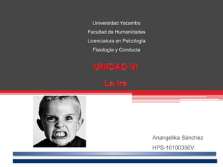 Universidad Yacambu
Facultad de Humanidades
Licenciatura en Psicología
Fisiología y Conducta
Anangelika Sánchez
HPS-16100356V
 