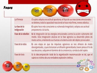 Fases
 