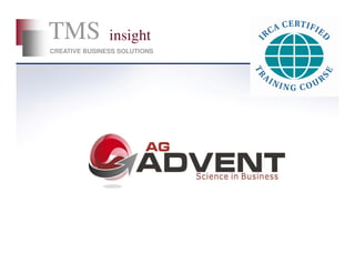 TMS            insight
CREATIVE BUSINESS SOLUTIONS
 