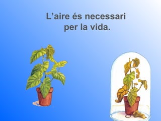 L’aire és necessari
     per la vida.
 