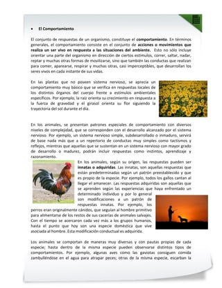  El Comportamiento
El conjunto de respuestas de un organismo, constituye el comportamiento. En términos
generales, el comportamiento consiste en el conjunto de acciones o movimientos que
realiza un ser vivo en respuesta a las situaciones del ambiente. Esto no sólo incluye
orientar una parte del organismo en dirección de ciertos estímulos, correr, saltar, nadar,
reptar y muchas otras formas de movilizarse, sino que también las conductas que realizan
para comer, aparearse, respirar y muchas otras, casi imperceptibles, que desarrollan los
seres vivos en cada instante de sus vidas.
En las plantas que no poseen sistema nervioso, se aprecia un
comportamiento muy básico que se verifica en respuestas locales de
los distintos órganos del cuerpo frente a estímulos ambientales
específicos. Por ejemplo, la raíz orienta su crecimiento en respuesta a
la fuerza de gravedad y el girasol orienta su flor siguiendo la
trayectoria del sol durante el día.
En los animales, se presentan patrones especiales de comportamiento con diversos
niveles de complejidad, que se corresponden con el desarrollo alcanzado por el sistema
nervioso. Por ejemplo, un sistema nervioso simple, subdesarrollado o inmaduro, servirá
de base nada más que a un repertorio de conductas muy simples como tactismos y
reflejos, mientras que aquellas que se sustentan en un sistema nervioso con mayor grado
de desarrollo o madurez, podrán incluir respuestas como instintos, aprendizaje y
razonamiento.
En los animales, según su origen, las respuestas pueden ser
innatas o adquiridas. Las innatas, son aquellas respuestas que
están predeterminadas según un patrón preestablecido y que
es propio de la especie. Por ejemplo, todos los gallos cantan al
llegar el amanecer. Las respuestas adquiridas son aquellas que
se aprenden según las experiencias que haya enfrentado un
determinado individuo y por lo general
son modificaciones a un patrón de
respuestas innatas. Por ejemplo, los
perros eran originalmente cánidos, que seguían al hombre primitivo
para alimentarse de los restos de sus cacerías de animales salvajes.
Con el tiempo se acercaron cada vez más a los grupos humanos,
hasta el punto que hoy son una especie doméstica que vive
asociada al hombre. Esta modificación conductual es adquirida.
Los animales se comportan de maneras muy diversas y con pautas propias de cada
especie; hasta dentro de la misma especie pueden observarse distintos tipos de
comportamientos. Por ejemplo, algunas aves como las gaviotas consiguen comida
zambulléndose en el agua para atrapar peces; otras de la misma especie, escarban la
 