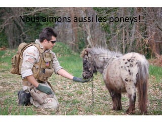 Nous aimons aussi les poneys!
 