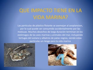 QUE IMPACTO TIENE EN LA
VIDA MARINA?
Las partículas de plástico flotante se asemejan al zooplancton,
por lo cual puede ser consumido accidentalmente por las
medusas. Muchos desechos de larga duración terminan en los
estómagos de las aves marinas y animales del mar, incluyendo
tortugas del océano y albatros de patas negras, siendo estas
partículas un riesgo para la vida marina

 