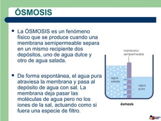 ÓSMOSIS

   La ÓSMOSIS es un fenómeno
    físico que se produce cuando una
    membrana semipermeable separa
    en un mismo recipiente dos
    depósitos, uno de agua dulce y
    otro de agua salada.

   De forma espontánea, el agua pura
    atraviesa la membrana y pasa al
    depósito de agua con sal. La
    membrana deja pasar las
    moléculas de agua pero no los
    iones de la sal, actuando como si
    fuera una especie de filtro.
 