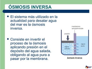 ÓSMOSIS INVERSA
 El sistema más utilizado en la
  actualidad para desalar agua
  del mar es la ósmosis
  inversa.

 Consiste en invertir el
  proceso de la ósmosis
  aplicando presión en el
  depósito del agua salada,
  obligando al agua pura a
  pasar por la membrana.
 