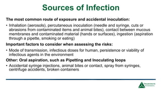Best Practices for Preventing Laboratory-Acquired Infections in ...