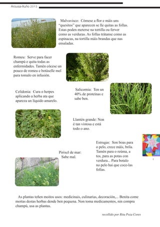 Arousa-Xuño 2013
7
Malvavisco: Cómese a flor e máis uns
“quesitos” que aparecen se lle quitas as follas.
Estas poden meterse na tortilla ou ferver
como as verduras. As follas trátanse como as
espinacas, na tortilla máis brandas que nas
ensaladas.
As plantas teñen moitos usos: medicinais, culinarias, decoración,... Benita come
moitas destas herbas dende ben pequena. Non toma medicamentos, nin compra
champú, usa as plantas.
recollido por Rita Poza Cores
Romeu: Serve para facer
champú e quita todas as
enfermidades. Tamén cócese un
pouco de romeu e botáselle mel
para tomalo en infusión.
Celidonia: Cura o herpes
aplicando a herba ata que
apareza un líquido amarelo.
Llantén grande: Non
é tan vistosa e está
todo o ano.
Salicornia: Ten un
40% de proteínas e
sabe ben.
Pirixel de mar:
Sabe mal.
Estrugas: Son boas para
o pelo, crece máis, brila.
Tamén para o reúma, a
tos, para as potas con
verdura... Para botalo
no pelo hai que coce-las
follas.
 