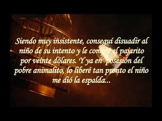 Siendo muy insistente, conseguí disuadir al niño de su intento y le compré el pajarito por veinte dólares. Y ya en  posesión del pobre animalito, lo liberé tan pronto el niño me dió la espalda... 