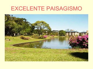 EXCELENTE PAISAGISMO 