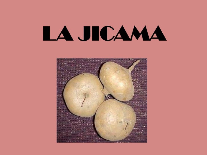 La jicama
