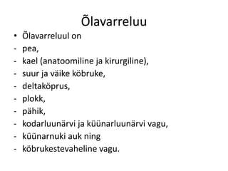 Õlavarreluu
•   Õlavarreluul on
-   pea,
-   kael (anatoomiline ja kirurgiline),
-   suur ja väike köbruke,
-   deltaköprus,
-   plokk,
-   pähik,
-   kodarluunärvi ja küünarluunärvi vagu,
-   küünarnuki auk ning
-   köbrukestevaheline vagu.
 