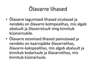 Õlavarre lihased
• Õlavarre tagumised lihased sirutavad ja
  nendeks on õlavarre kolmpealihas, mis algab
  abaluult ja õlavarreluult ning kinnitub
  küünarnukile.
• Õlavarre eesmised lihased painutavad ja
  nendeks on kaarnajätke õlavarrelihas,
  õlavarre-kakspealihas, mis algab abaluult ja
  kinnitub kodarluule ja õlavarrelihas, mis
  kinnitub küünarluule.
 