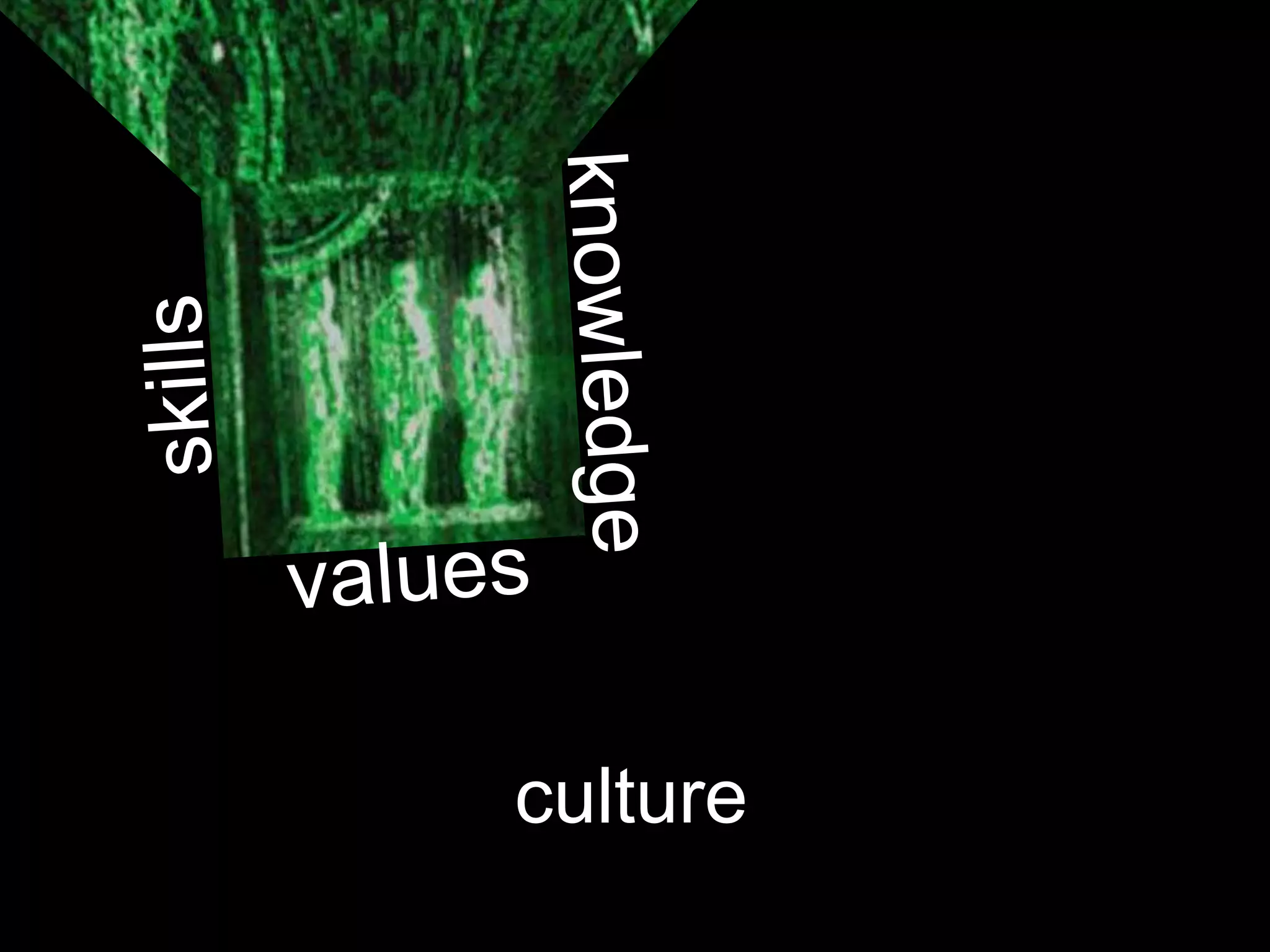 culture
 