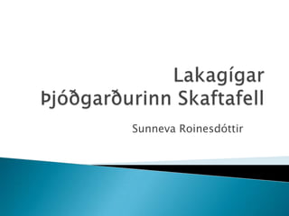 LakagígarÞjóðgarðurinn Skaftafell Sunneva Roinesdóttir 