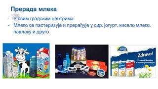 Прерада млека
- У свим градским центрима
- Млеко се пастеризује и прерађује у сир, јогурт, кисело млеко,
павлаку и друго
 
