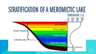 Two Layer Lake Thermal Stratification Lake