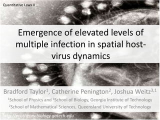Emergence of elevated levels of
multiple infection in spatial host-
virus dynamics
Bradford Taylor1, Catherine Penington2, Joshua Weitz3,1
1School of Physics and 3School of Biology, Georgia Institute of Technology
2School of Mathematical Sciences, Queensland University of Technology
http://ecotheory.biology.gatech.edu
Quantitative Laws II
 