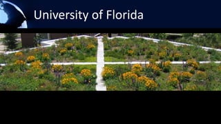 University of Florida