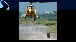 Are schools the anchor of the community?