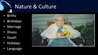 What Do We Grow Today?http://img.slate.com/media/1/123125/2079215/2112767/2129635/051107_arch_suburbSprawl_ex.jpg