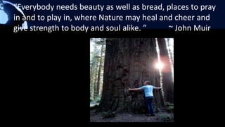 Elements of the Walkway