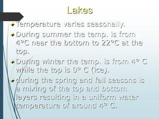 lake ecosystem.pptx000000000000000000000 | PPTX