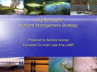 Lake Erie LaMP
Nutrient Management Strategy


    Prepared by Sandra George
 Canadian Co-chair Lake Erie LaMP
 