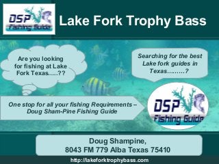Lake Fork Trophy Bass
http://lakeforktrophybass.com
Are you looking
for fishing at Lake
Fork Texas…..??
Searching for the best
Lake fork guides in
Texas………?
One stop for all your fishing Requirements –
Doug Sham-Pine Fishing Guide
Doug Shampine,
8043 FM 779 Alba Texas 75410
 