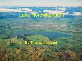 Lake Horowhenua!!!




  By Talia and Leilani
 