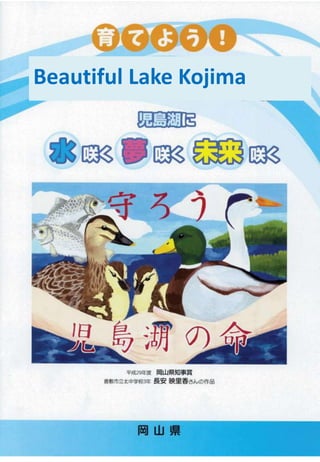 Beautiful Lake Kojima
 