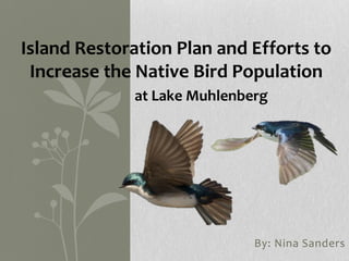 By: Nina Sanders
Island Restoration Plan and Efforts to
Increase the Native Bird Population
at Lake Muhlenberg
 