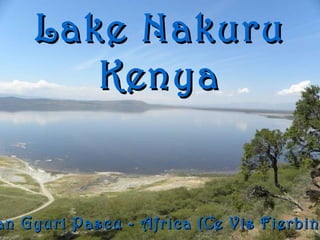 Lake Nakuru Kenya Ioan Gyuri Pascu - Africa (Ce Vis Fierbinte) 
