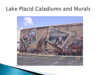 Lake Placid Caladiums And Murals