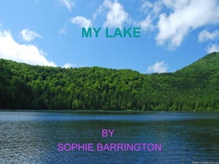 MY LAKE
BY
SOPHIE BARRINGTON
 