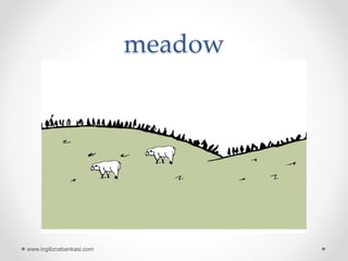 meadow
www.ingilizcebankasi.com
 