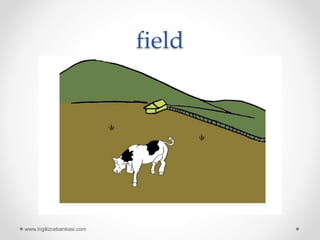 field
www.ingilizcebankasi.com
 