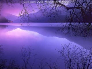 Lake Crescent, Olympic National Park, Washington 