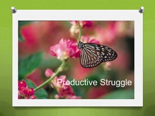 Productive Struggle
 