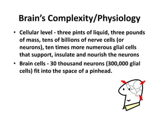 Brain’s Complexity/PhysiologyCellular level - three pints of liquid, three pounds of mass, tens of billions of nerve cells (or neurons), ten times more numerous glial cells that support, insulate and nourish the neuronsBrain cells - 30 thousand neurons (300,000 glial cells) fit into the space of a pinhead.