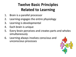 Brain ResearchImportance of metacognition/reflection 